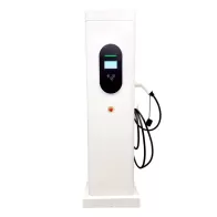 עמדת טעינה עמוד 22KW AC מסחרי